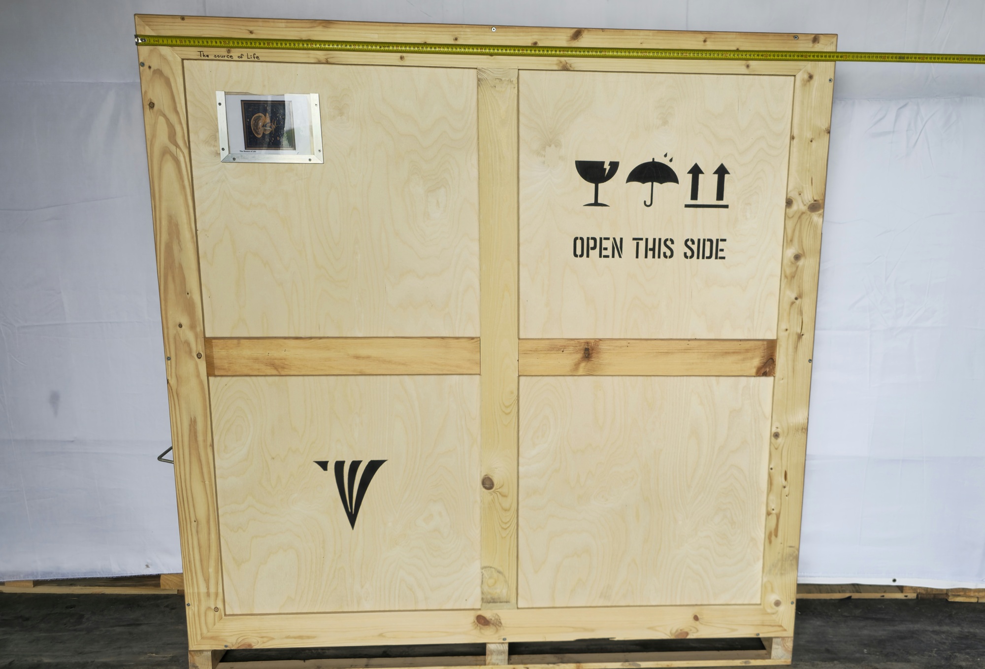 Referencia de ancho de la caja para La fuente de la vida, 2007 con cinta métrica